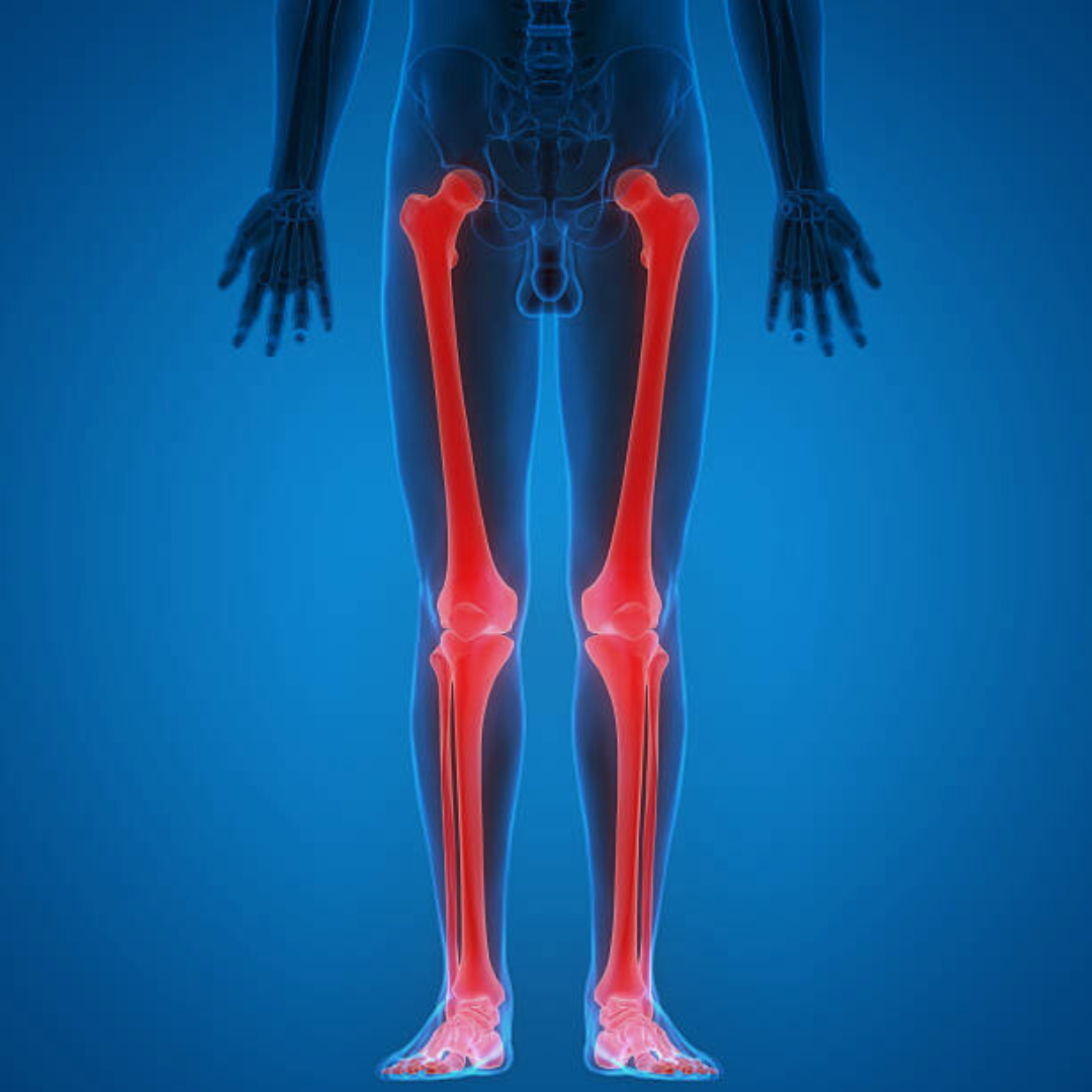 Jambes